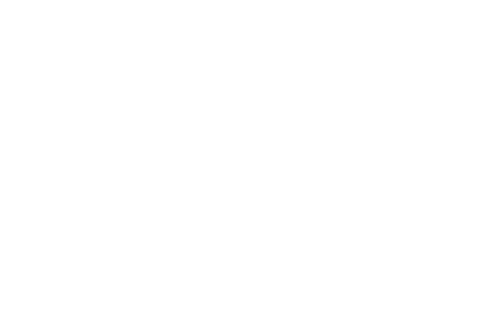 Sinnicho